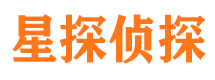 桃山寻人公司